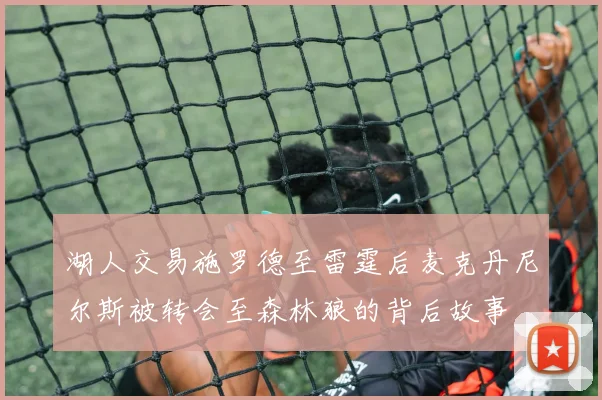 湖人交易施罗德至雷霆后麦克丹尼尔斯被转会至森林狼的背后故事