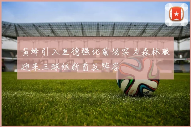 黄蜂引入里德强化前场实力森林狼迎来三球组新首发阵容