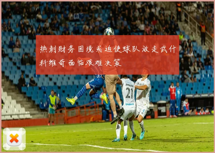 热刺财务困境或迫使球队放走武什科维奇面临艰难决策