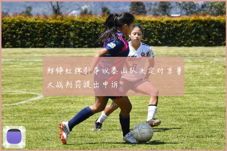 郑铮红牌引争议泰山队决定对京鲁大战判罚提出申诉